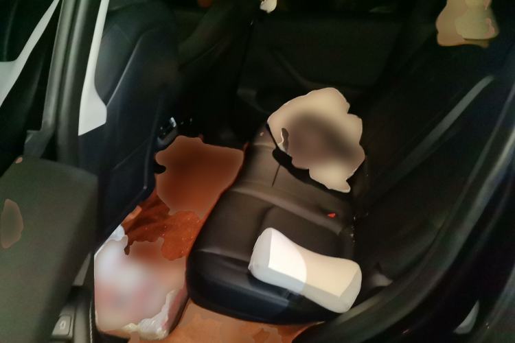 Used Tesla Model Y 2024 Rear-Wheel-Drive Version