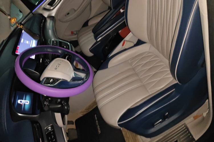 Used Roewe iMAX8 2021 400TGI Supreme Series Prestige Edition Left Front Seat