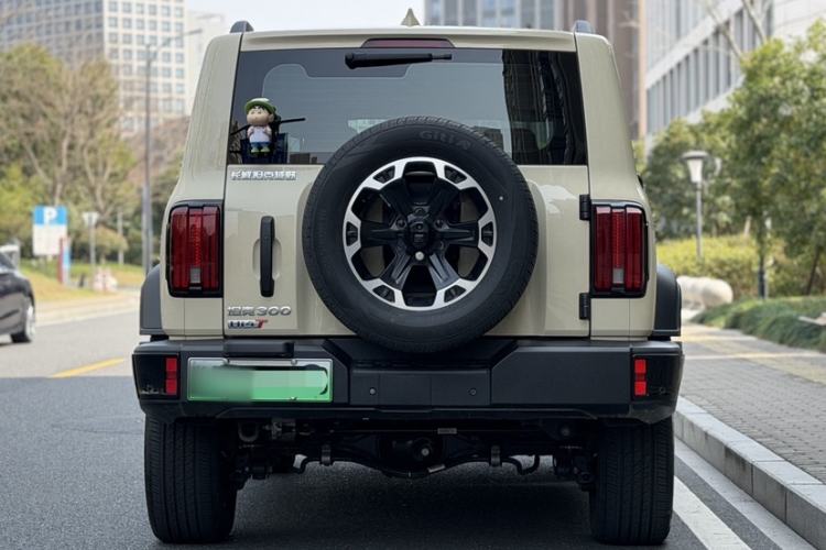 Used Tank 300 New Energy 2025 Hi4-T
