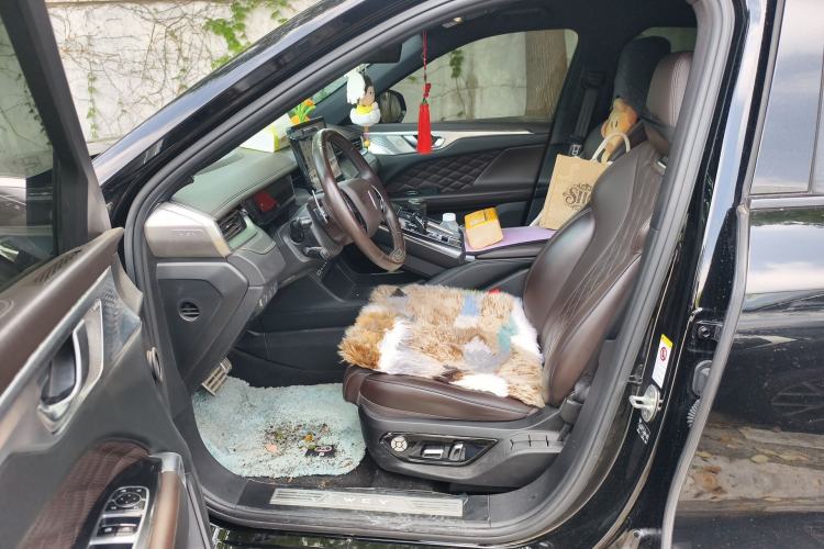 Used Wey Mocha 2021 2.0T Two-Wheel-Drive Premium Edition Driver Seat