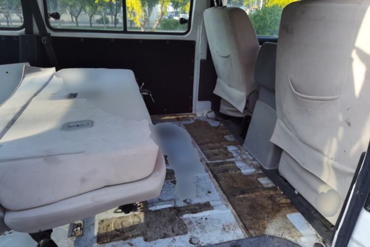 Used FORTHING Lingzhi 