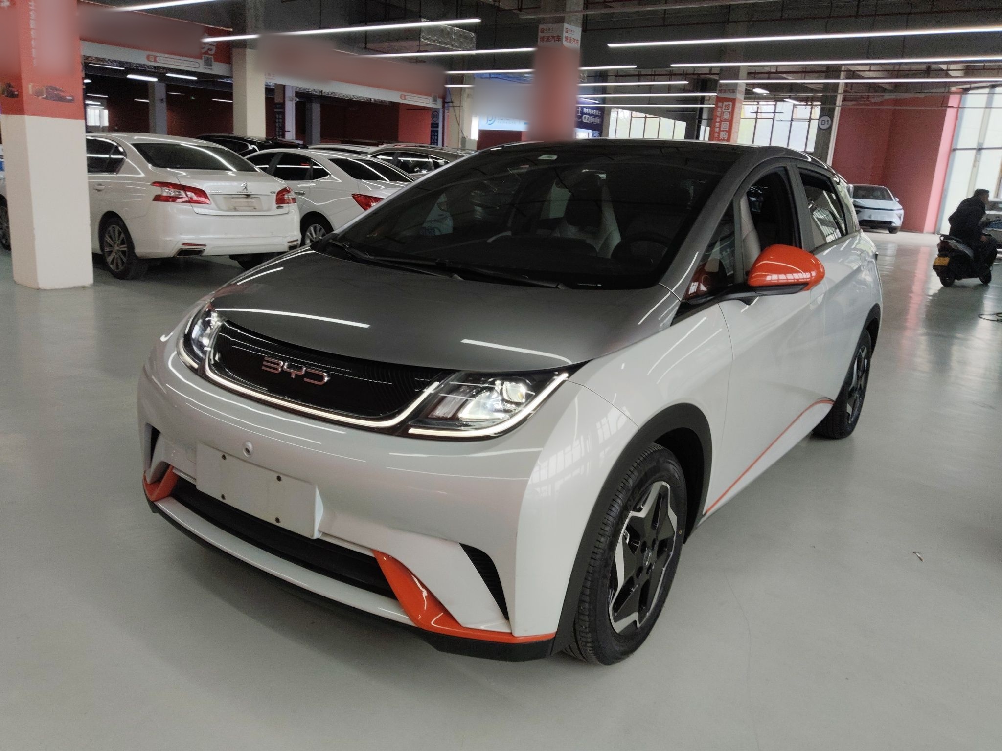 Parte inferior delantera