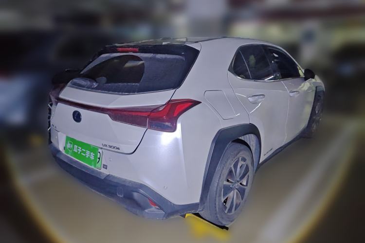 Used Lexus UX New Energy 2020 300e Pure·Joy Edition
