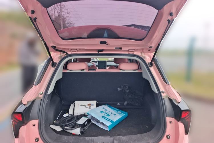 Used NETA V 2022 Chao 400 Lite Pink Custom Edition