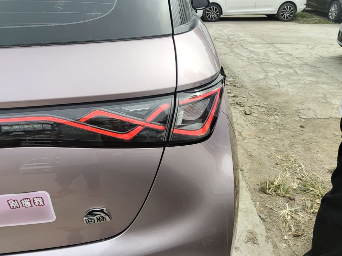 BYD Dolphin 2021 405 km Fashion Edition — снимка 9
