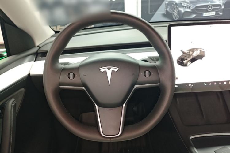 Used Tesla Model Y 2021 Standard Range Rear-Wheel Drive Version
