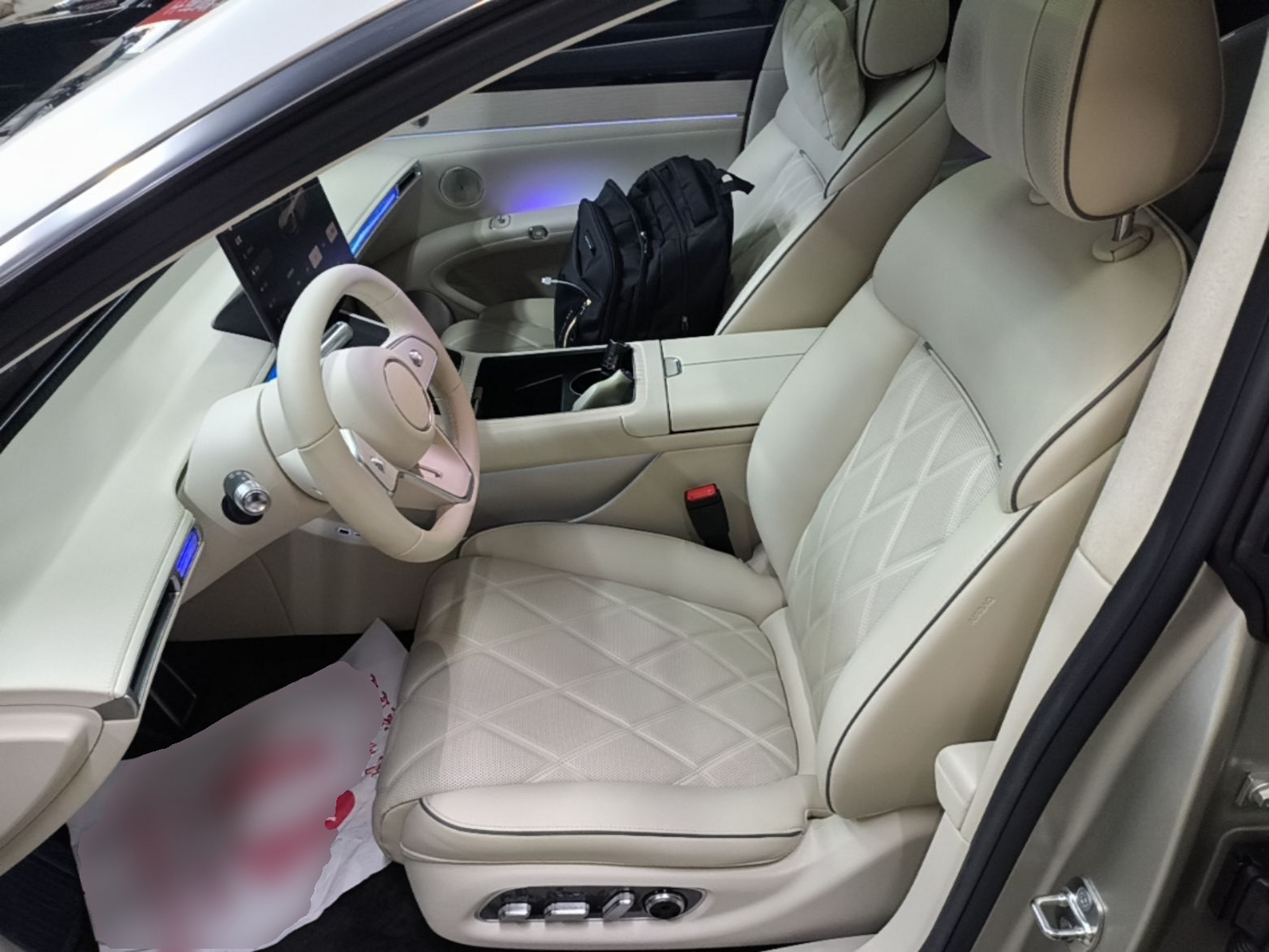 Interior delantero