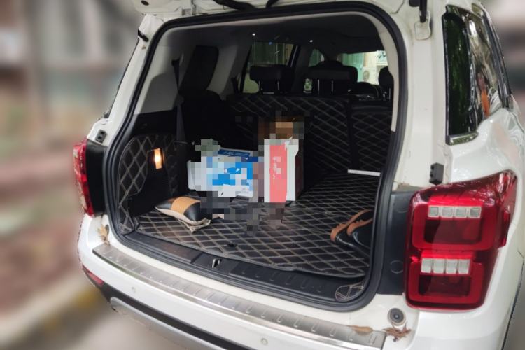 Used GAC Trumpchi GS8 2017 320T Two-Wheel Drive Luxury Smart Connectivity Version (7 Seats)
