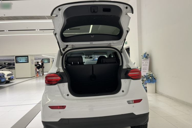 Used Leapmotor T03 2021 400 Lite Edition Lithium Iron Phosphate