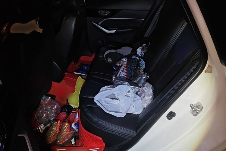 Used Venucia D60EV 2019 High-Range Travel Edition
