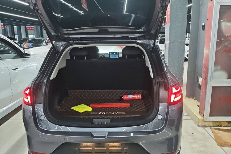 Used NETA AYA 2023 318 Lite