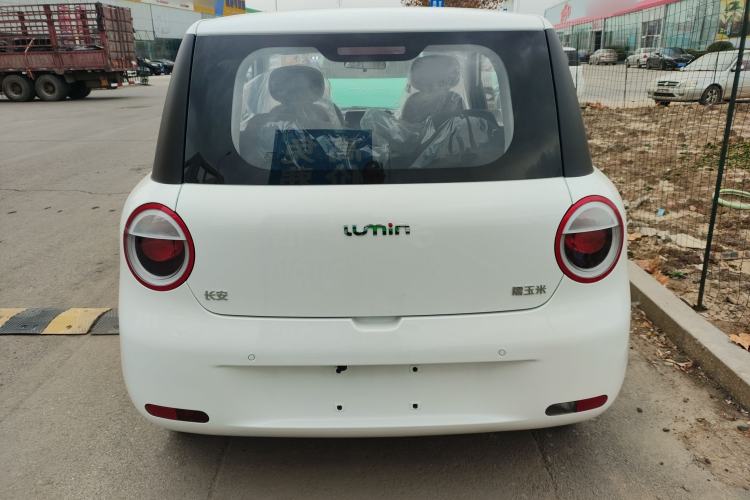 Used Qiyuan Lumin 2025 205 km Xiangqin Version