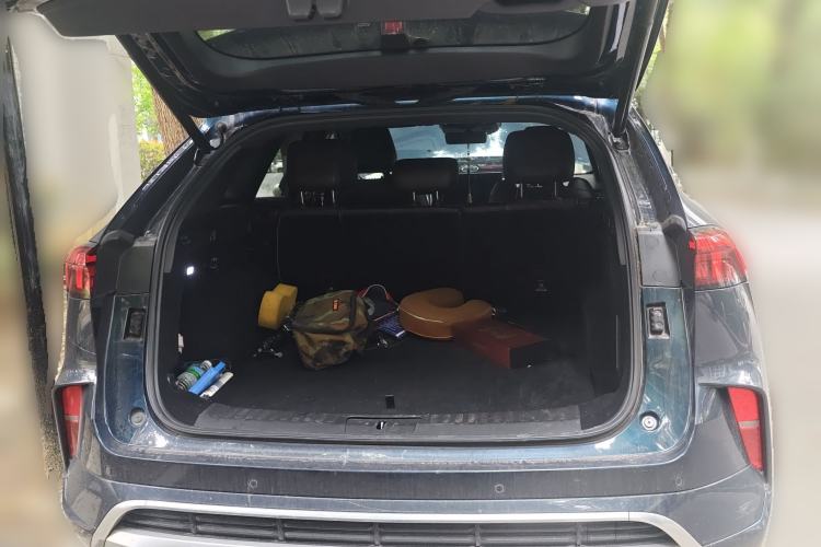 Used Wey Mocha 2021 2.0T Two-Wheel-Drive Premium Edition
