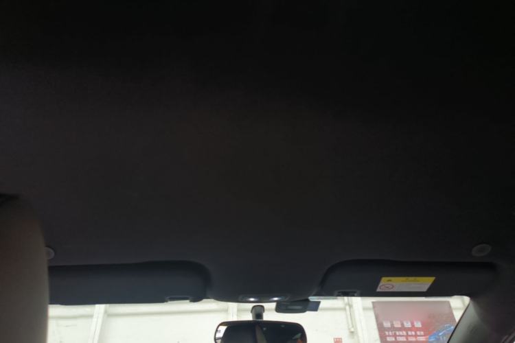 Used BYD Dolphin 2023 420 km Free Version Headliner