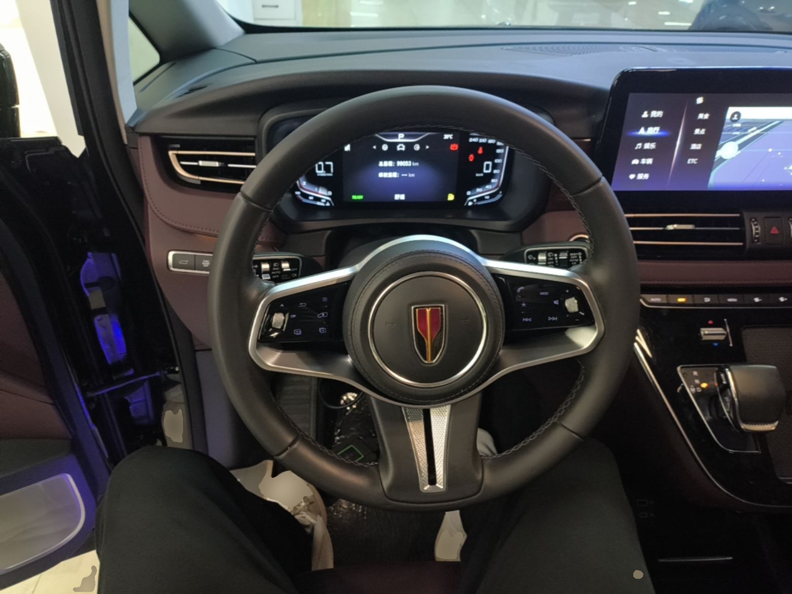 Hongqi HQ9 2023 2.0T Smart Connect Flagship Edition - Chinese Trim Xiang — снимка 13