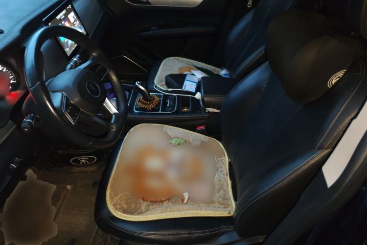 Used BYD Song MAX 2021 Upgraded Model 1.5T Automatic Luxury 7-Seater Left Front Seat