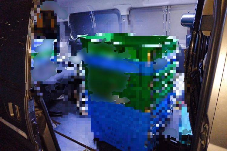 Used FORTHING Lingzhi 2019 V3 1.6L 2-Seat Standard Model China VI Left Rear Seat