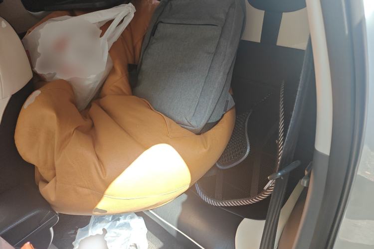 Used CHANGAN NEVO Lumin 2023 205km Xiangqin Version Left Rear Seat