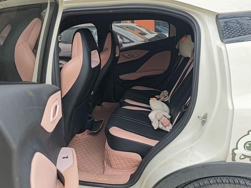Used BYD Seagull 2023 Free Edition — 16