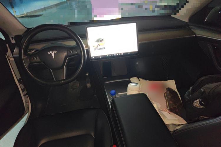 Used Tesla Model Y 2021 Standard Range Rear-Wheel Drive Version
