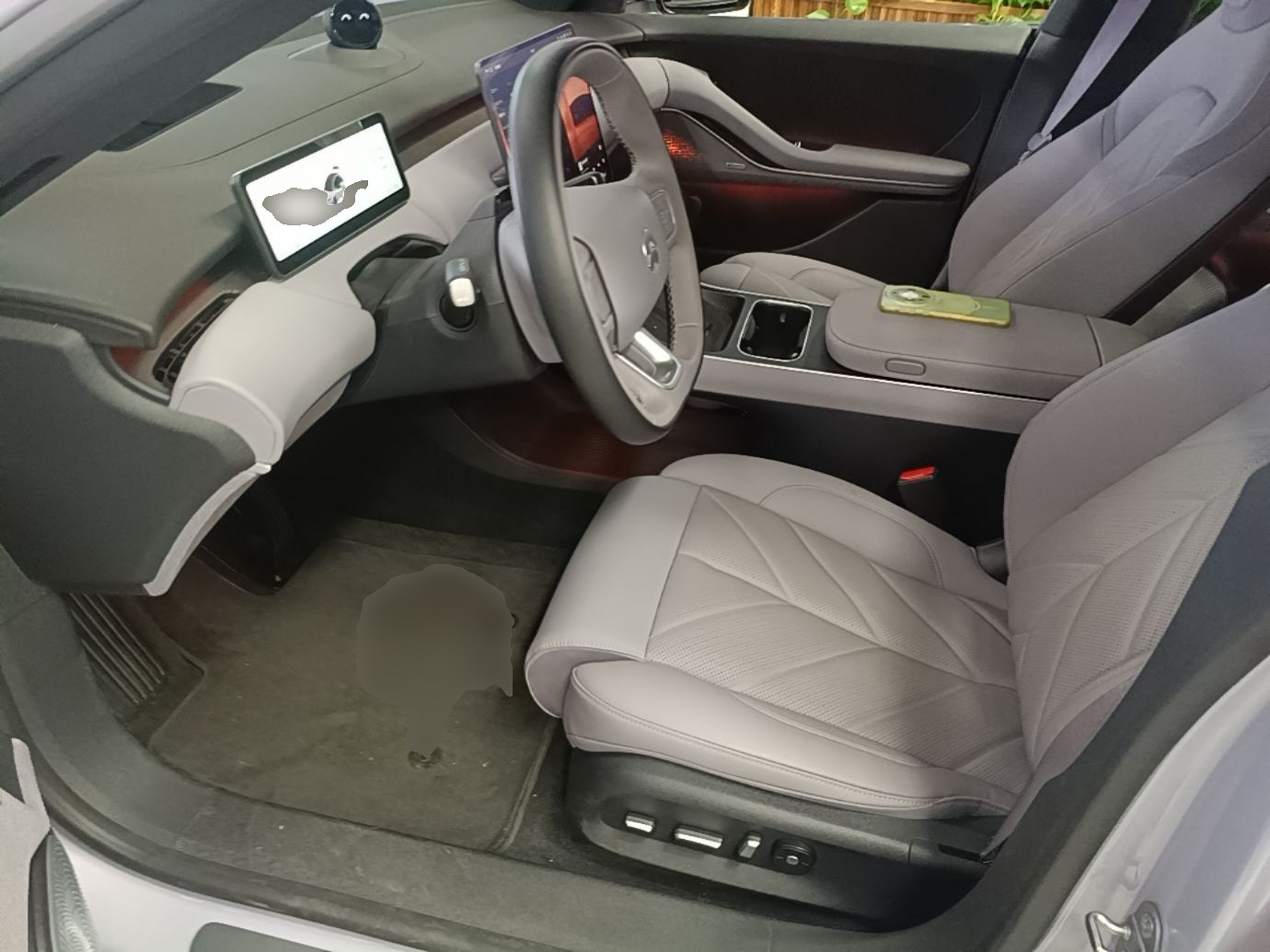 Interior delantero