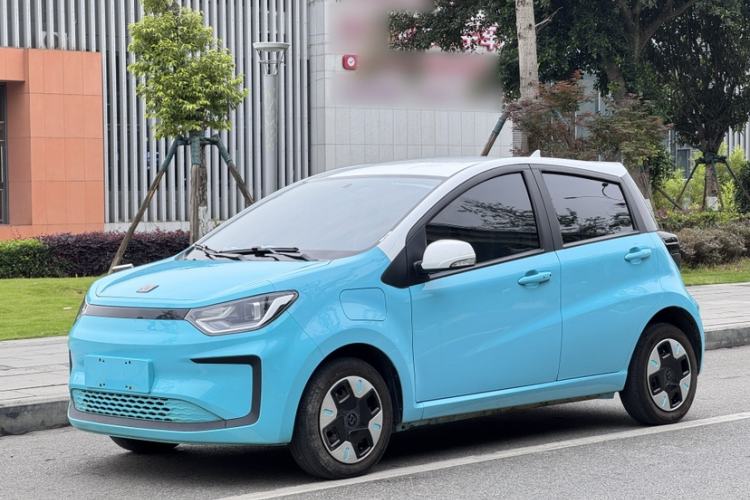 Used SOL E10X 2022 Flower Fairy Design Four-Leaf Clover