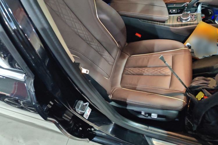 Used BMW 5 Series 2020 530Li Leading Edition Luxury Package