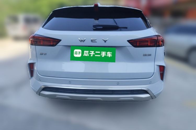 Used Wey Mocha 2021 2.0T Two-Wheel Drive Special Edition
