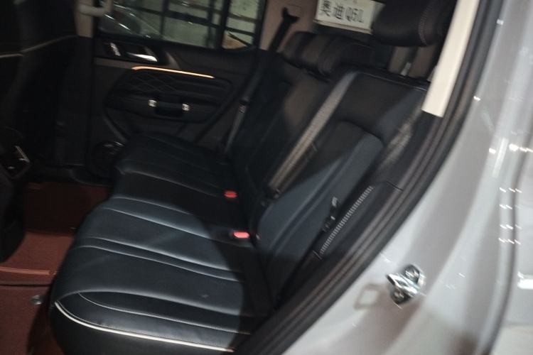 Used Tank 300 2024 2.0T Conqueror
