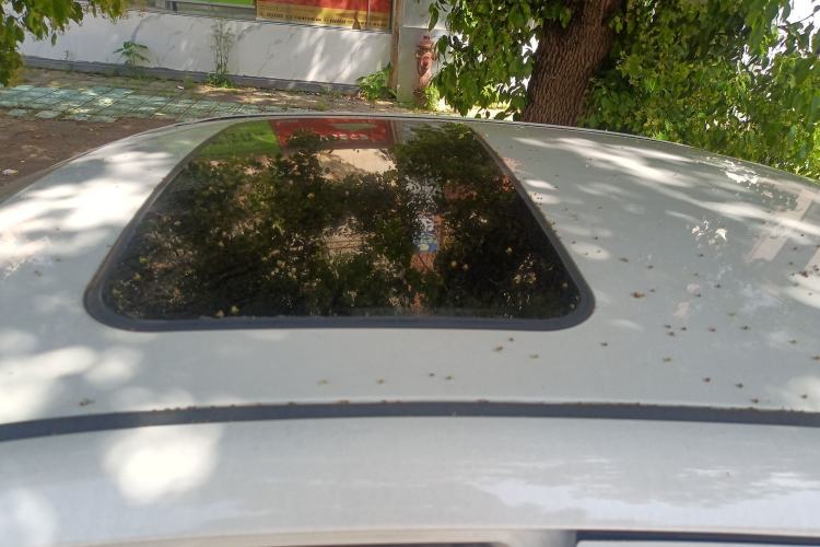 Used Toyota Corolla EX 2013 1.6L Automatic Excellence Edition