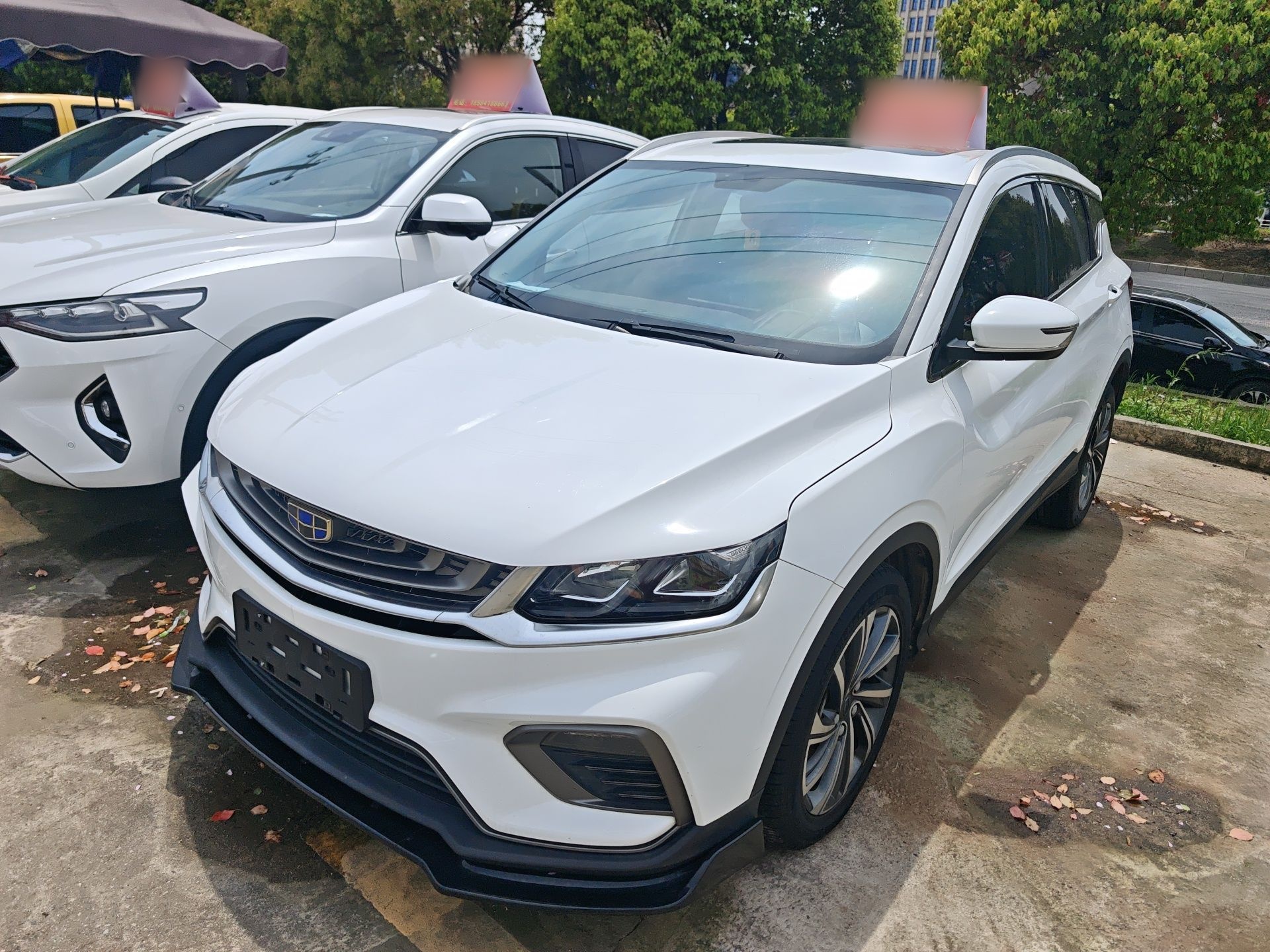 Parte inferior delantera