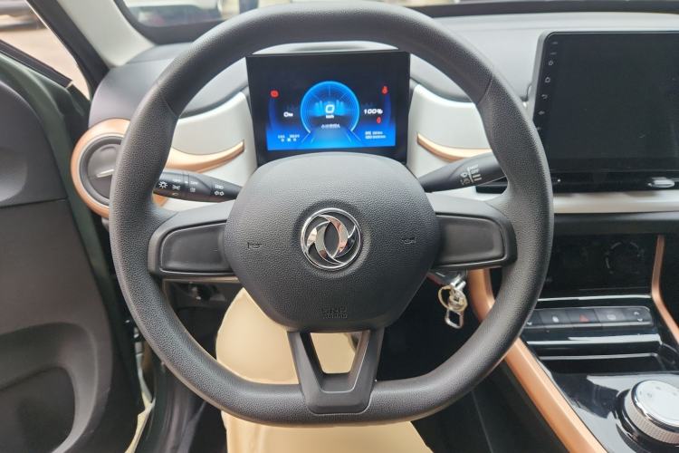 Used Dongfeng NAMMI EX1 2023 PRO Light Wind Edition Lightning Model
