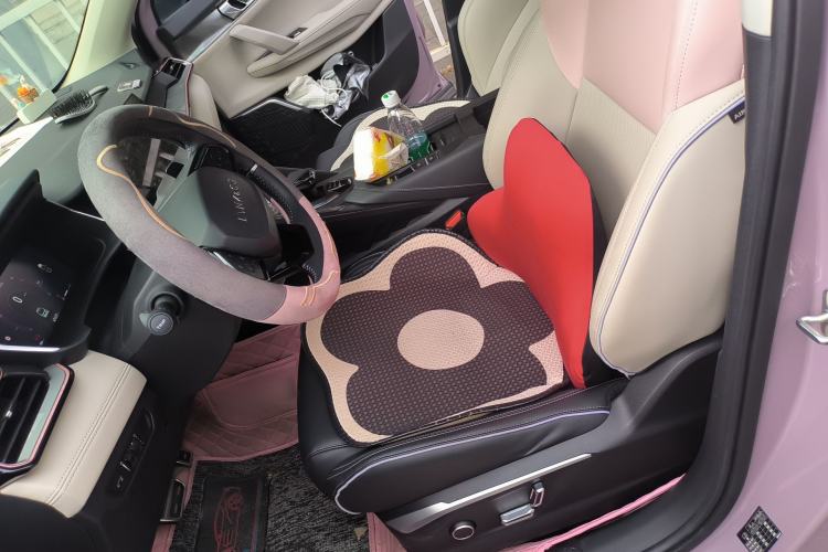 Used Lynk & Co 06 2021 1.5T Shero Pink Special Edition Left Front Seat