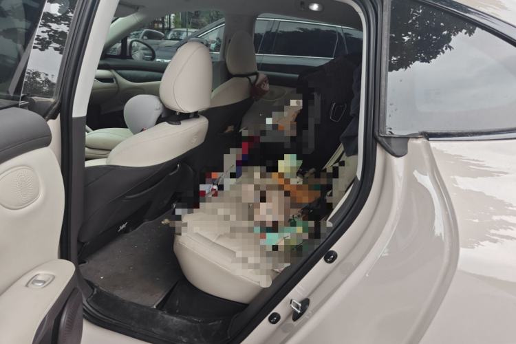 Used IM LS6 2023 Max Extended-Range Version