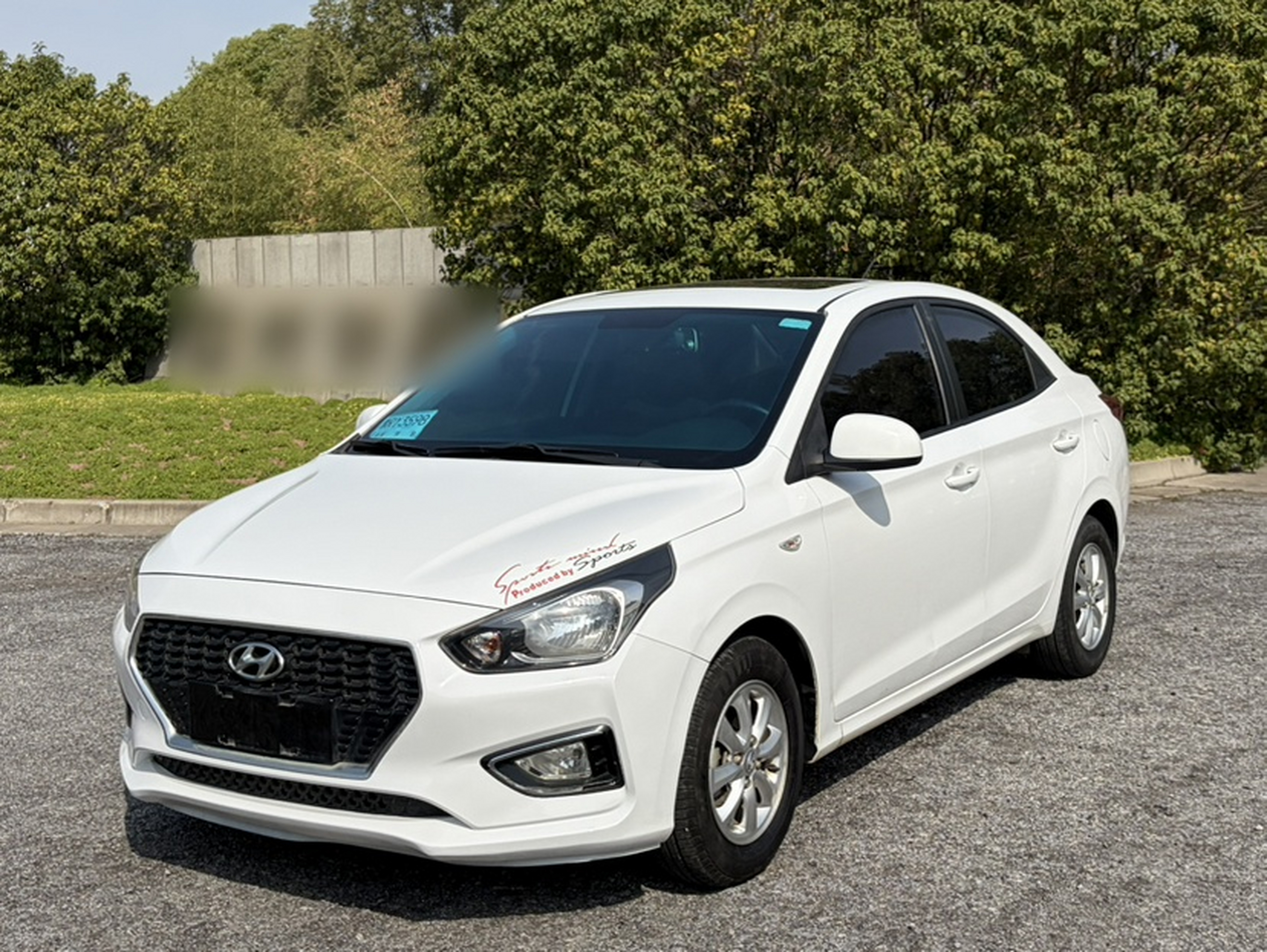 Parte inferior delantera