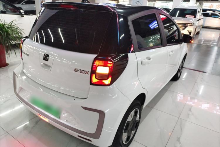 Used SOL E10X 2022 Flower Fairy Design Dandelion