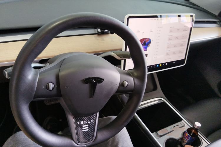 Used Tesla Model Y 2021 Standard Range Rear-Wheel Drive Version
