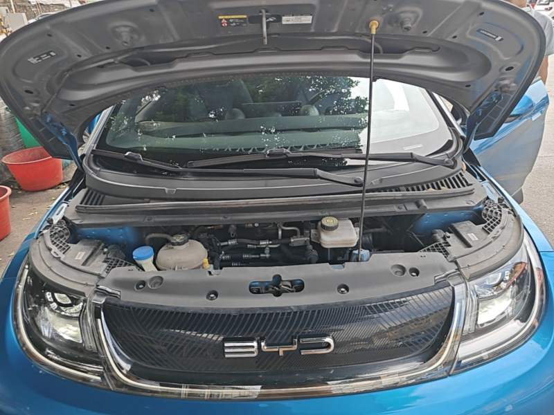 Used BYD Dolphin 2021 401km Knight Edition — 19