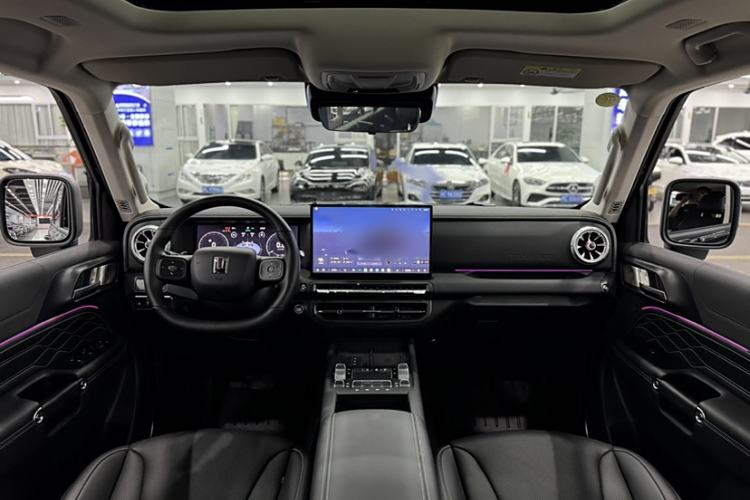 Used Tank 300 New Energy 2025 Hi4-T