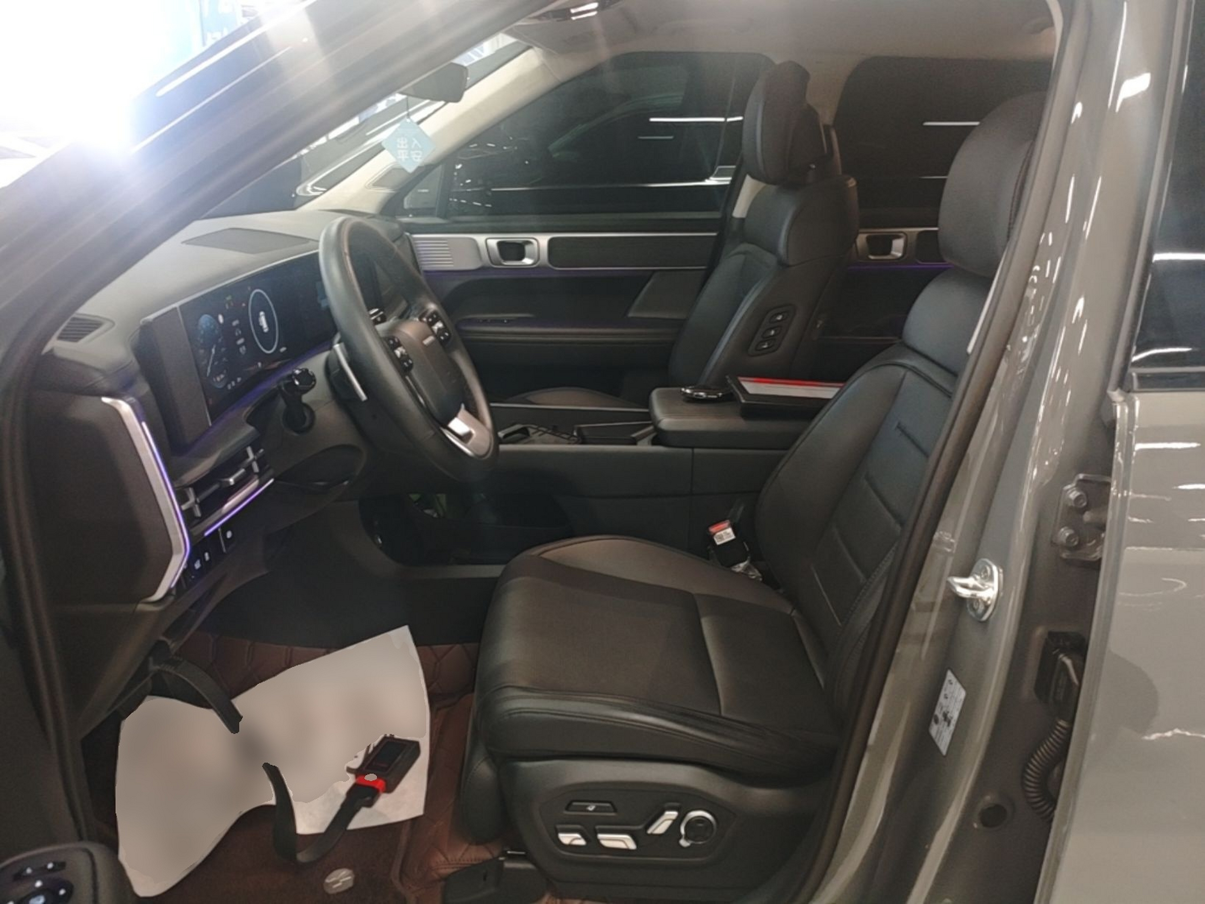 Interior delantero