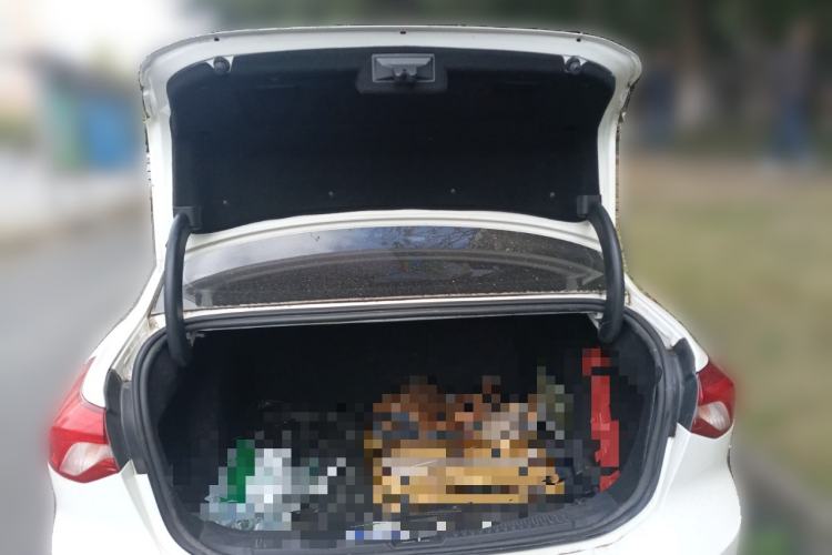 Used Ford Focus 2020 Sedan EcoBoost 180 Automatic Trend Edition