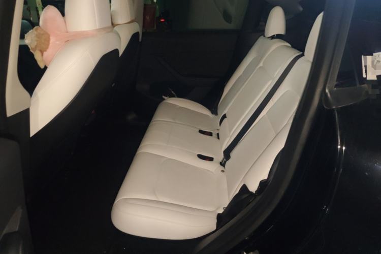 Used Tesla Model Y 2021 Long-Range All-Wheel-Drive Version 3D7
