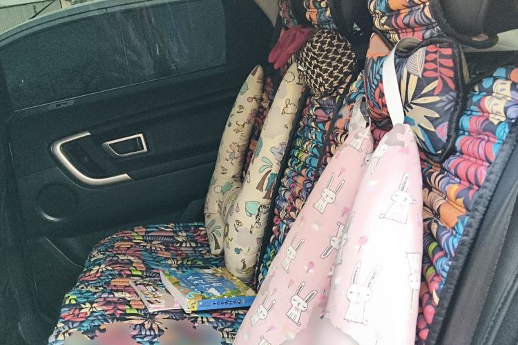 Used Land Rover Discovery Sport 2018 240 PS SE Version Left Rear Seat