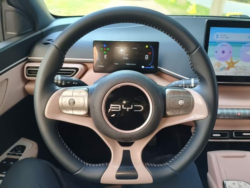 Used BYD Seagull 2025 305 km Free Version — 10