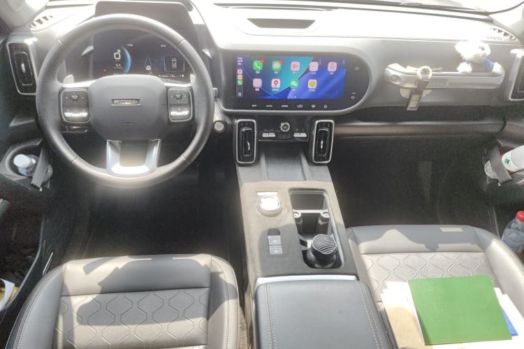 Used Haval DARGO 2024 2.0T DCT Chinese Rural Dog Edition