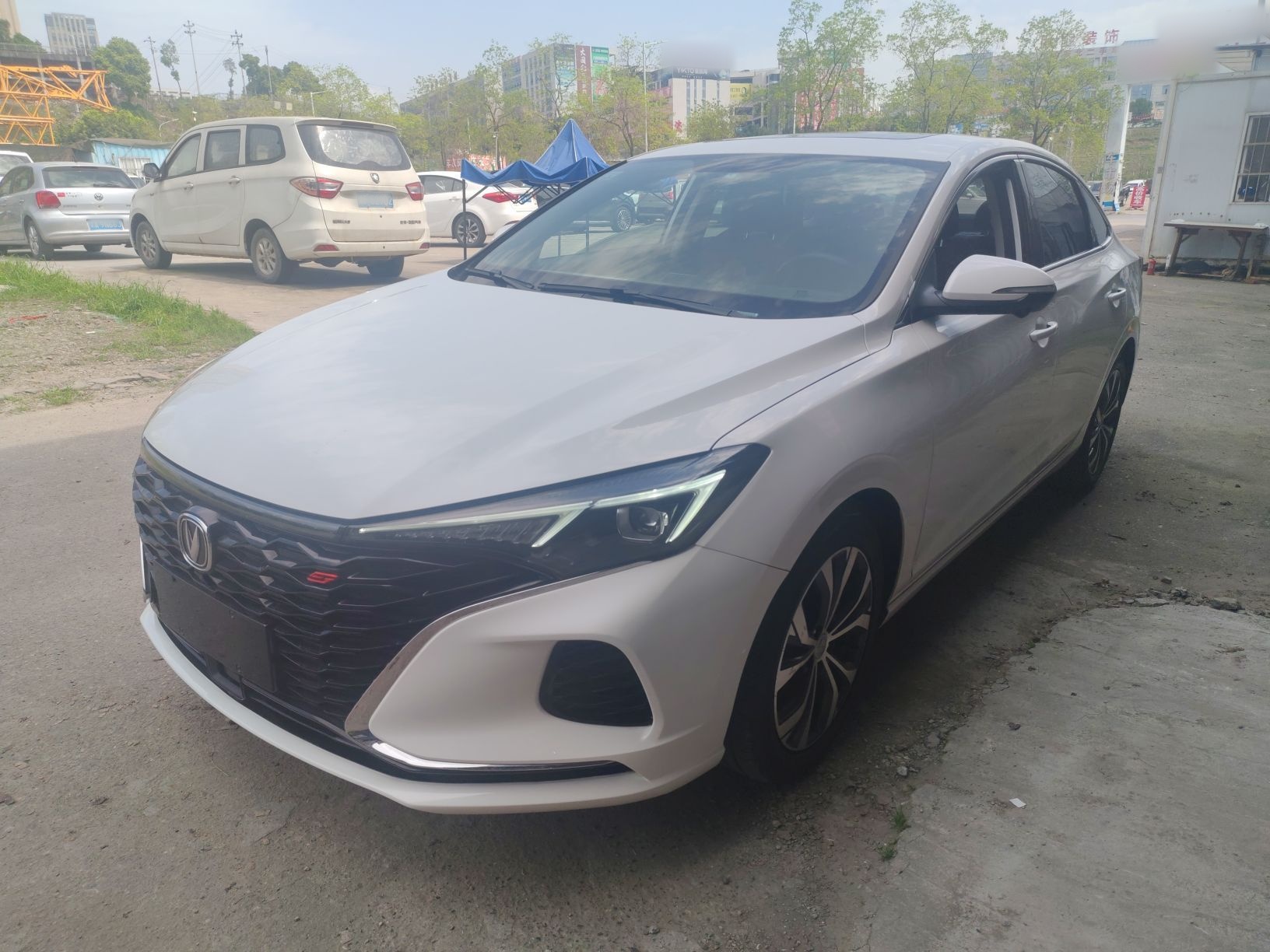 Parte inferior delantera