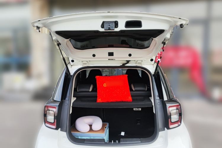 Used SOL E10X 2022 Flower Fairy Style Baby's Breath