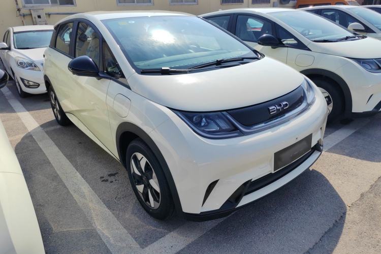 Used BYD Dolphin 2025 420km Free Edition