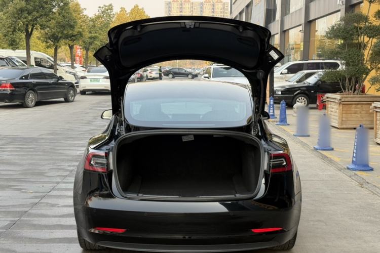 Used Tesla Model 3 (Import) 2019 Long-Range Rear-Wheel-Drive Version