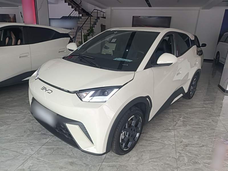 Used BYD Seagull 2024 Honor Edition 305km Freedom Version — 1